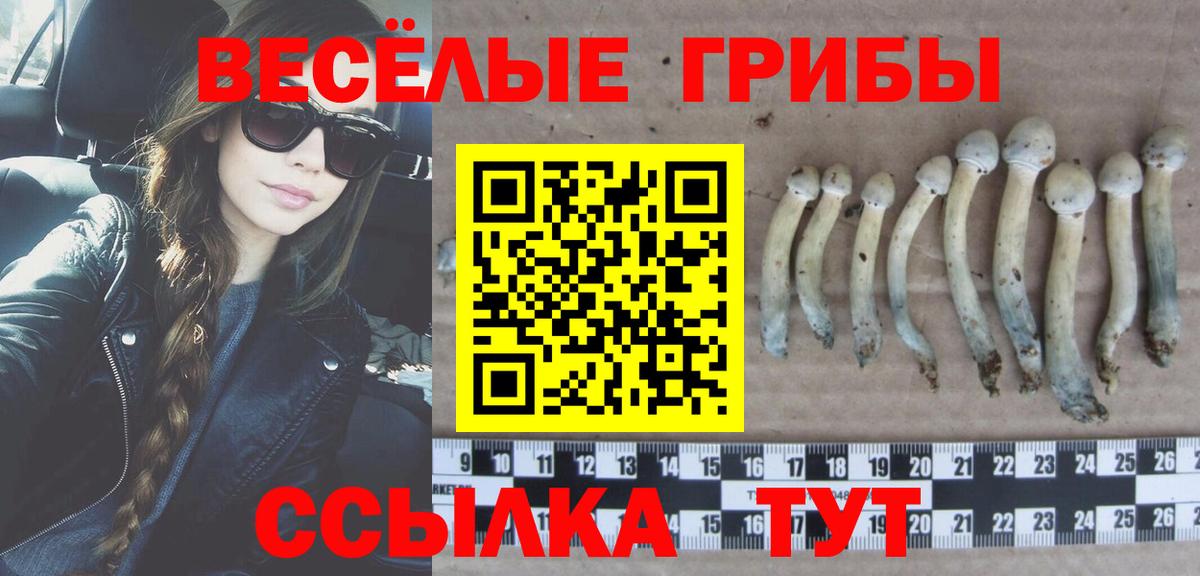 Химки  Псилоцибиновые грибы ЛСД  закладка  Галлюциногенные грибы Psilocybine cubensis  Вход с VPN 